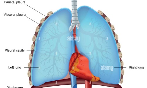 出汗有馊味、出汗有一股馊味是什么原因 -出汗有股焦味网