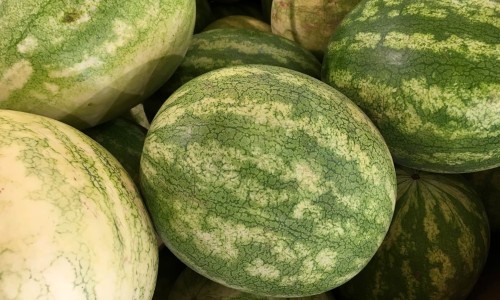 出汗有股馊味是什么原因-出汗有馊味、出汗有一股馊味是什么原因 -出汗有股焦味网